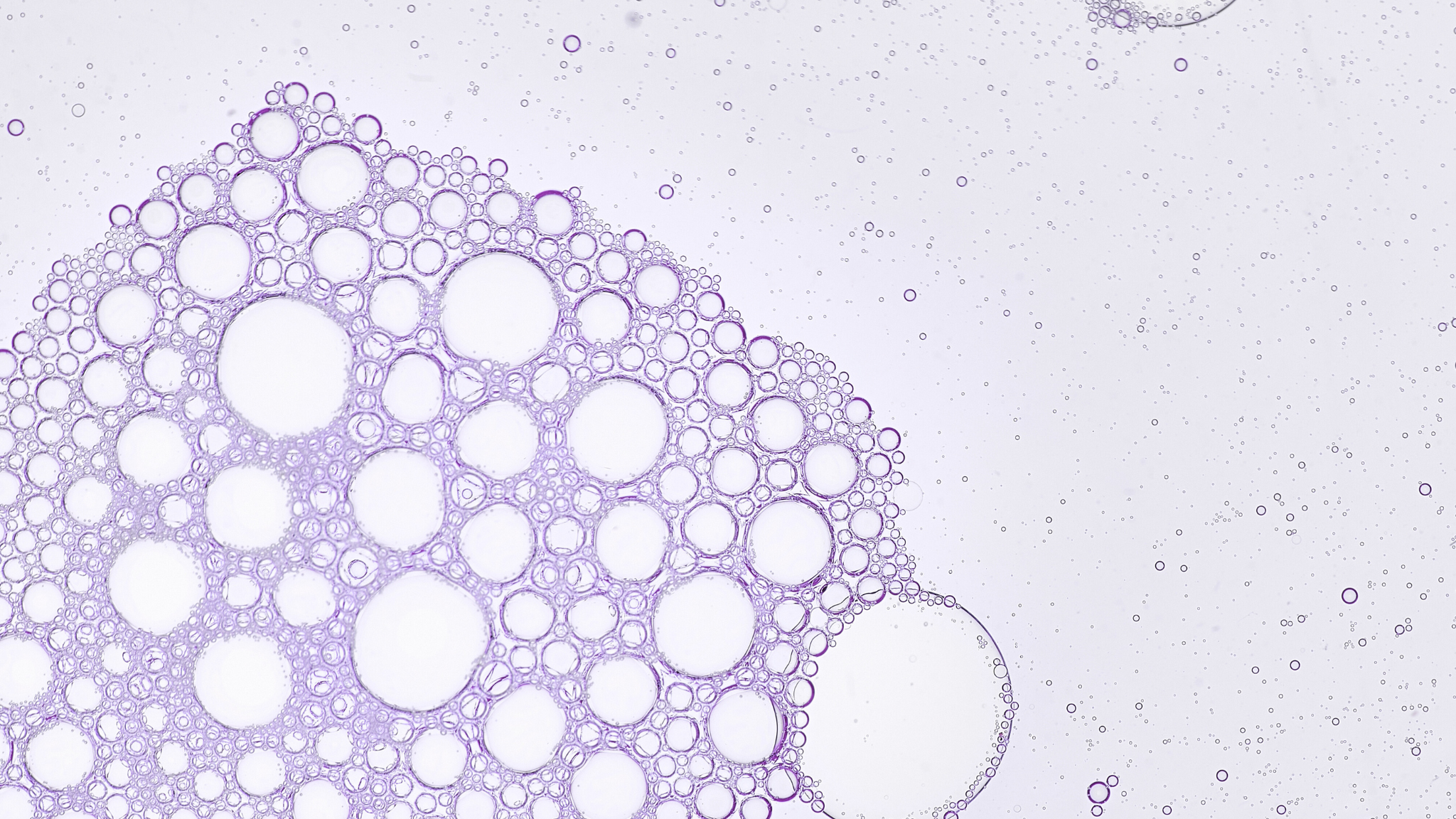 Vegan Skincare Designed