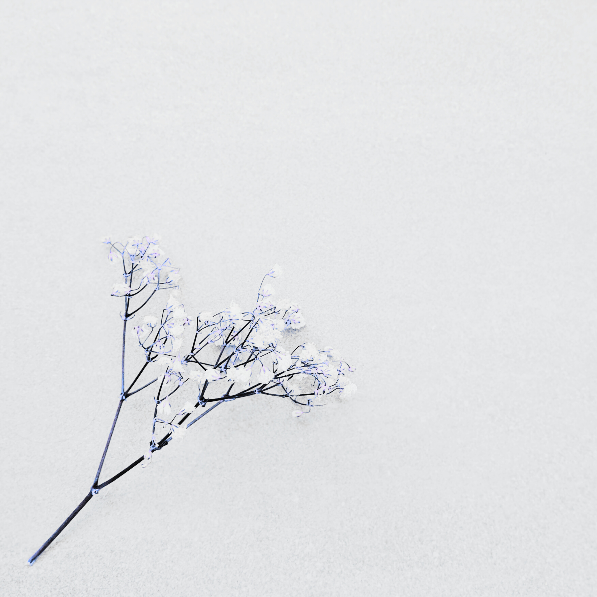 Shop Our Amethyst Aura Collection